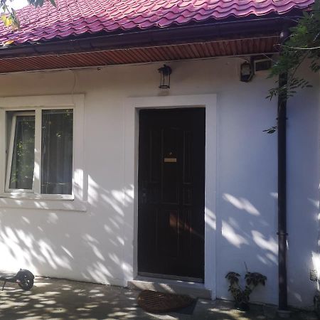 Casa Miron Unirii 3Strada Matei Corvin Apartament Тімішоара Екстер'єр фото